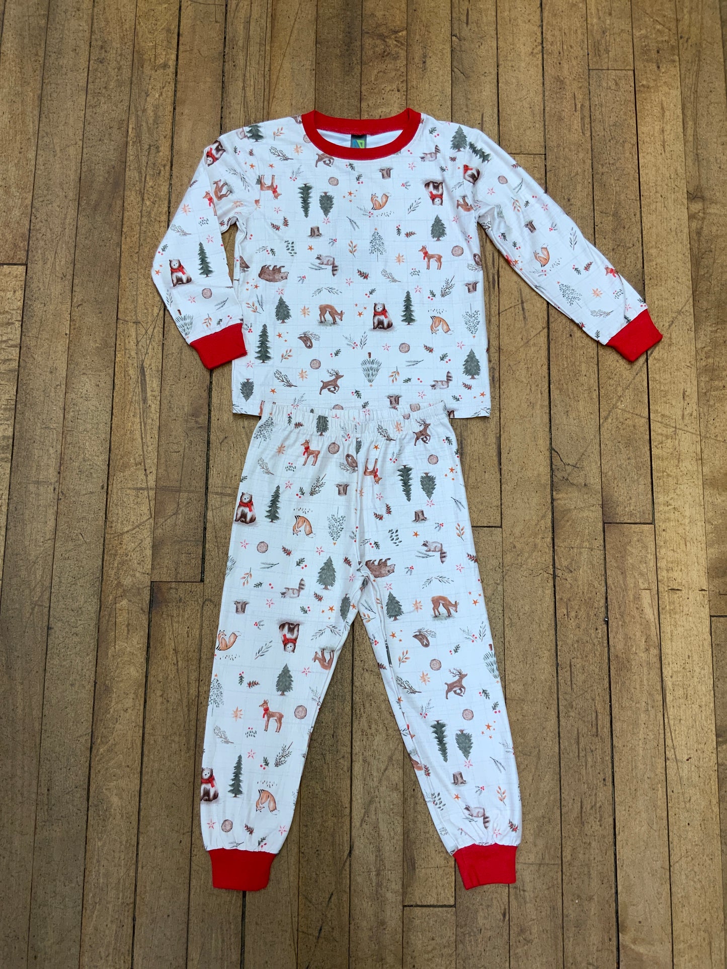 Nano 2 Piece Christmas Pajama Set FN