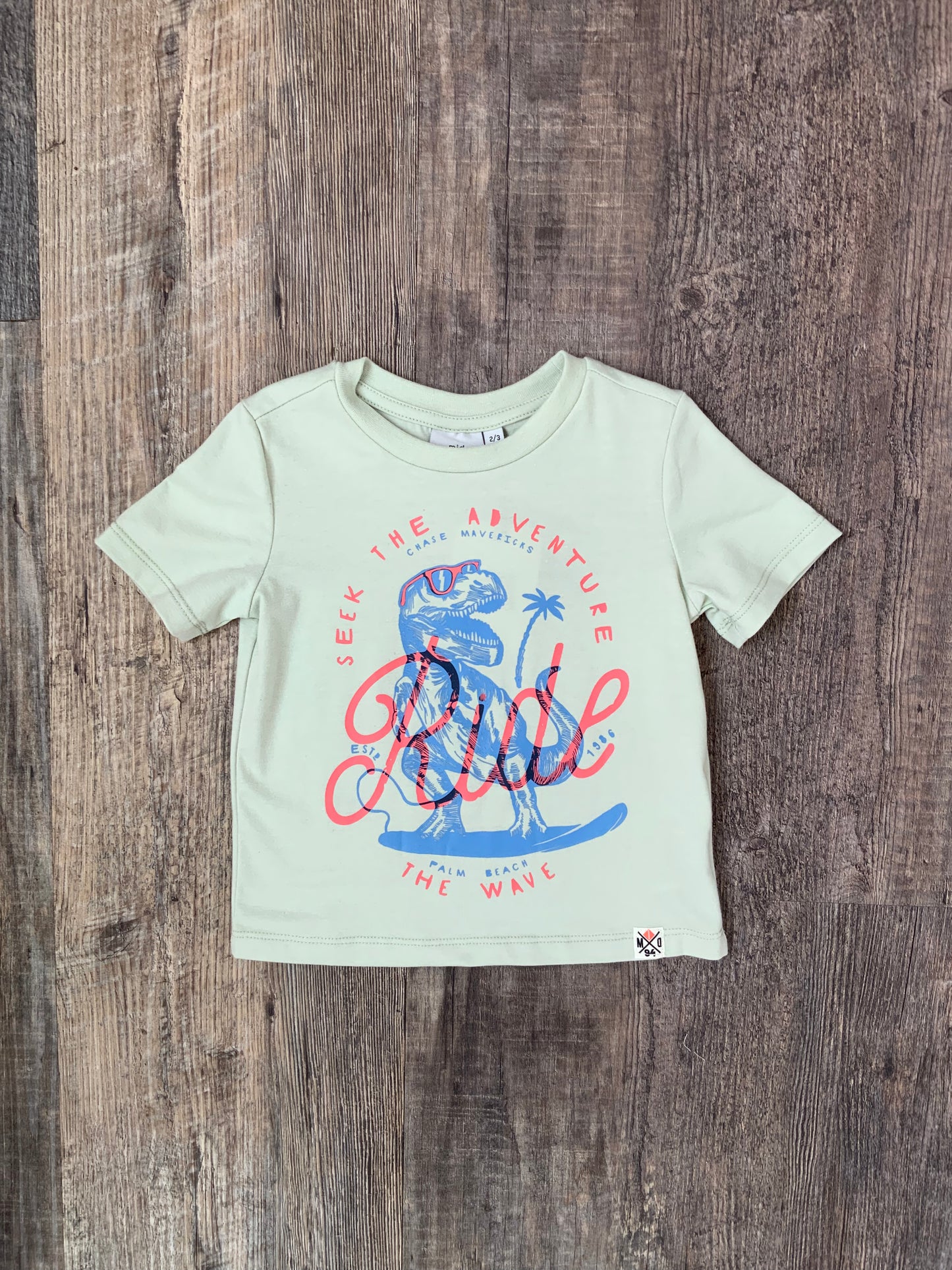 MID Dinosaur Tee SPN