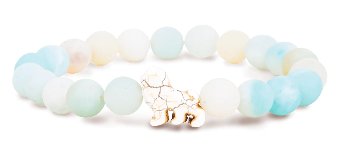 Fahlo Lion Tracker Bracelet