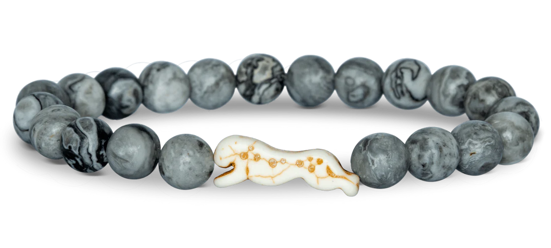 Fahlo Cheetah Tracker Bracelet