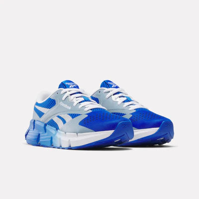 Reebok Blue Zig Dynamica 5 FN