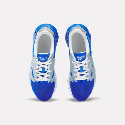 Reebok Blue Zig Dynamica 5 FN