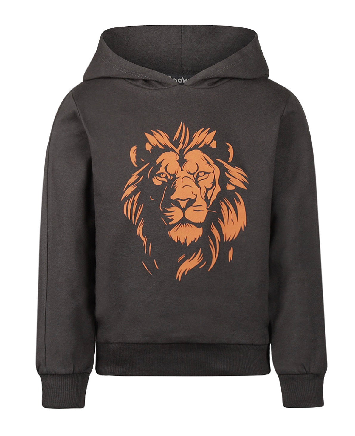 Dirkje Lion Hoodie 09-02