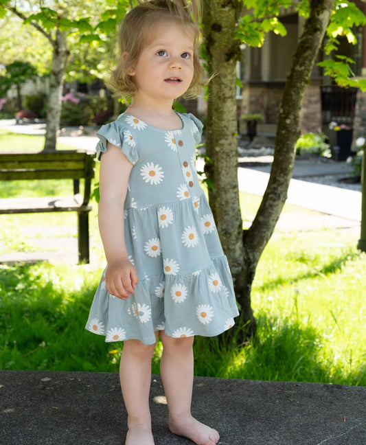 Silkberry Bamboo Daisy Dress with Bloomer SPN