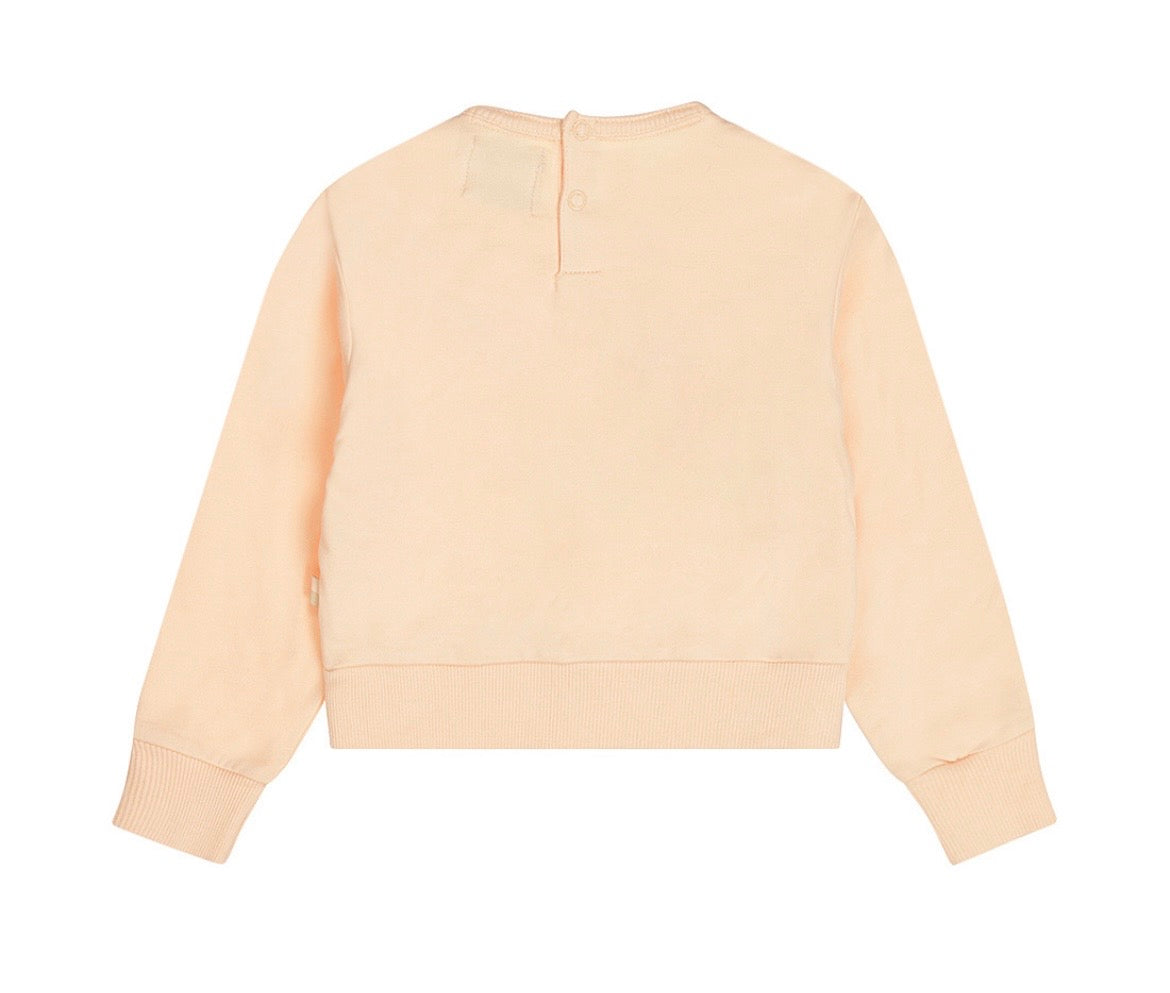 Dirkje Peach Long Sleeve Top