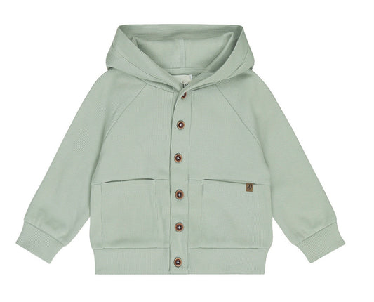 Dirkje Soft Sage Cardigan SP