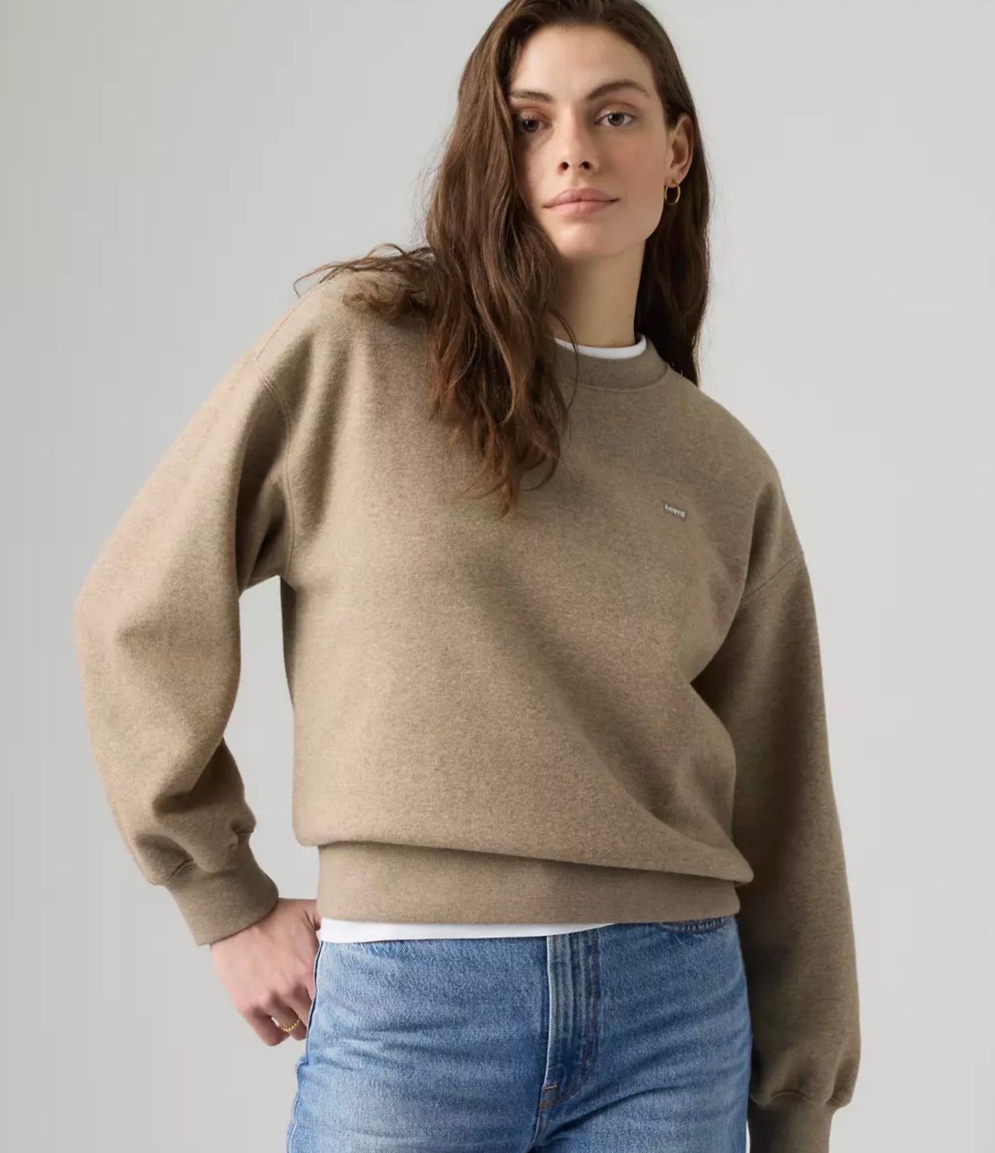 Levi’s Everyday Taupe Crewneck 02-08